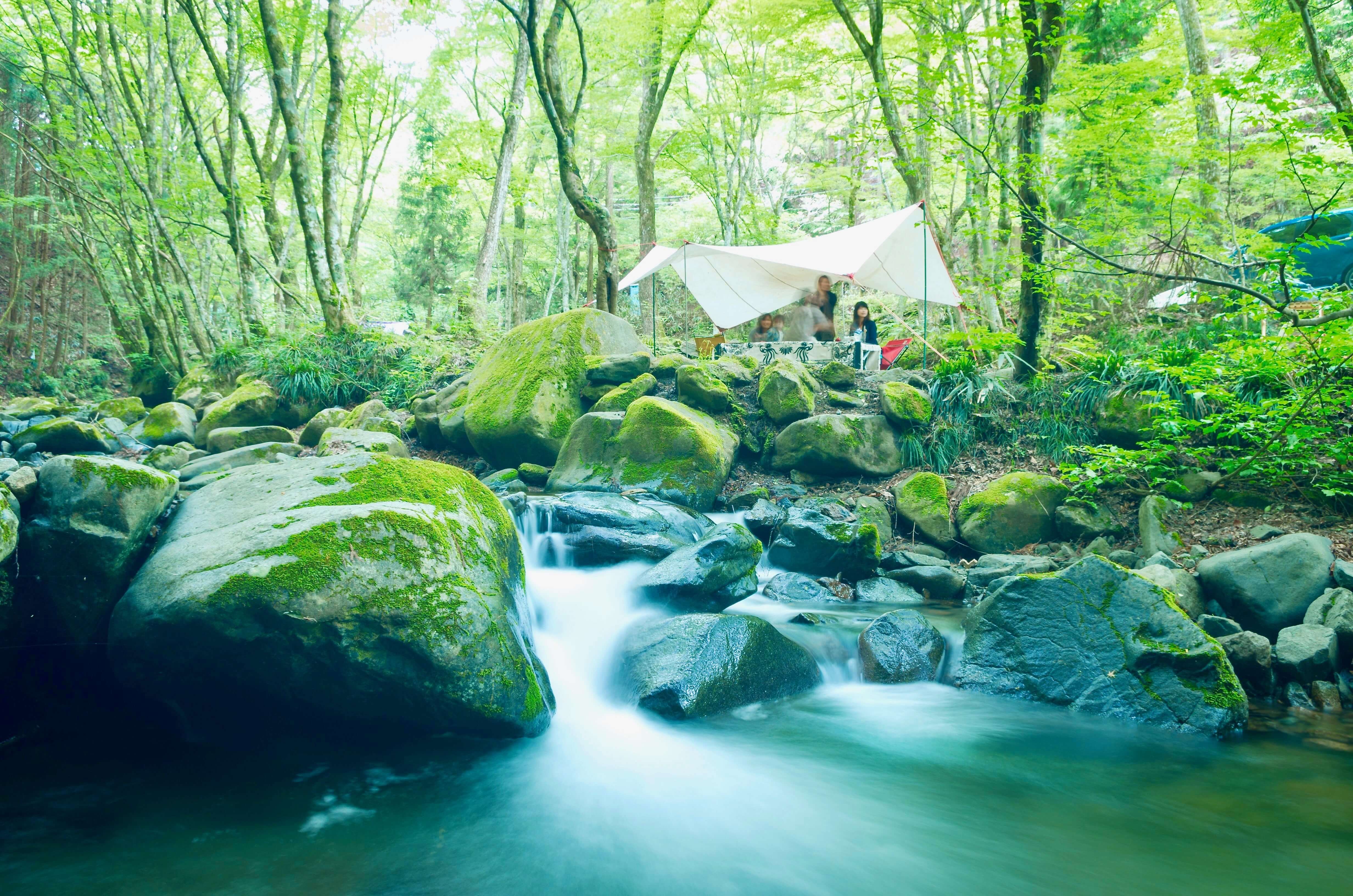 道志の森キャンプ場 / 山梨県